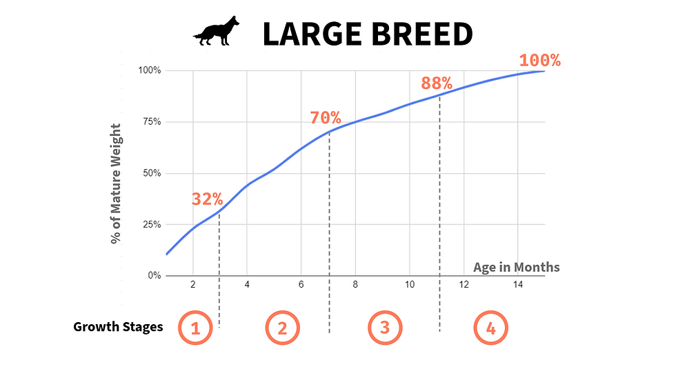 Puppy Weight Estimate Calculator UnoDogs